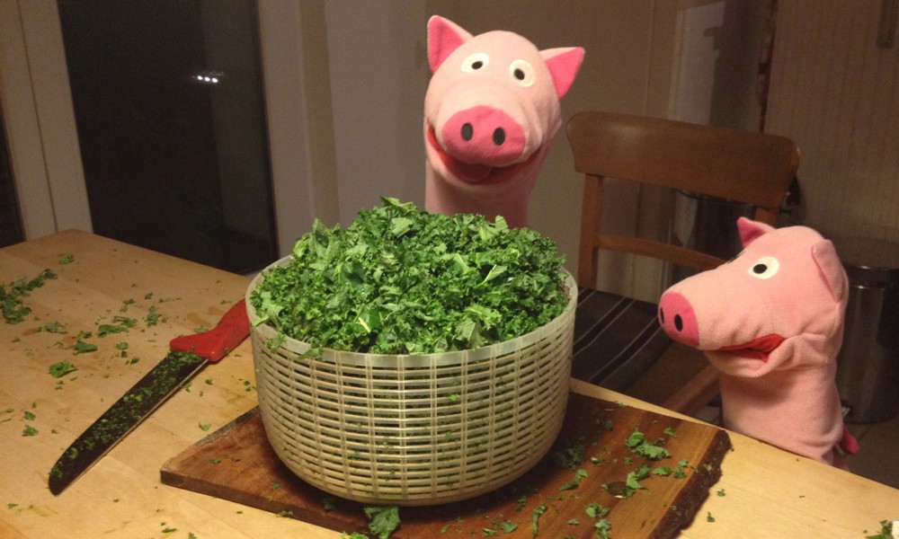 Anschließend wurde stundenlang geschnibbelt und das Ergebnis präsentiert ...