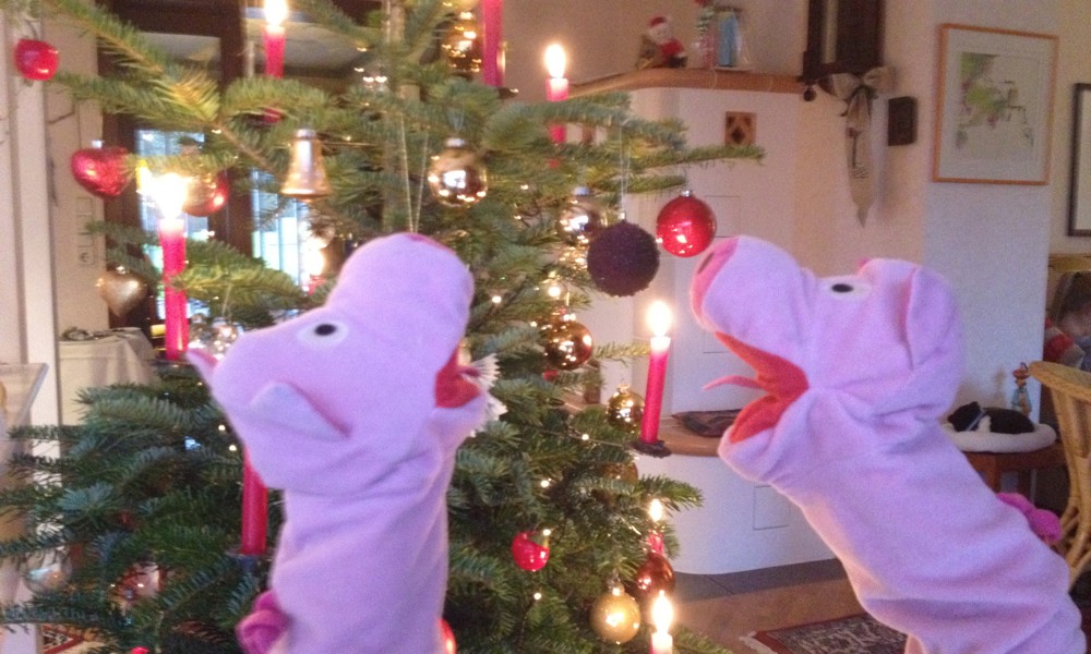 Es waren wohl ein paar mehr Sekt. Die Schweine gröhlen Weihnachtslieder.