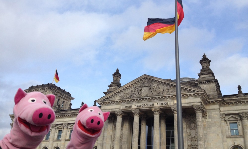 Alle Macht geht von Schweinen aus.