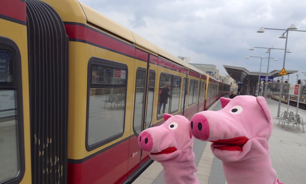 Hiernach nehmen die Schweine am Berliner S-Bahn-Chaos teil.