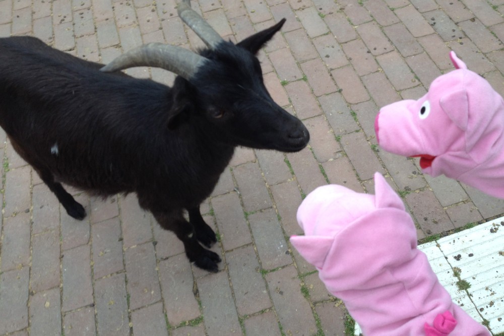 Uschi erzählt, dass das Streichelnlassen ganz schön anstrengend ist.