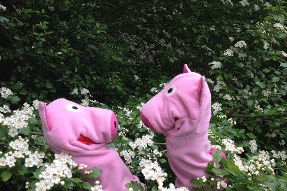 Auch wenn wieder einmal die Kartoffelprovianttasche vergessen wurde.