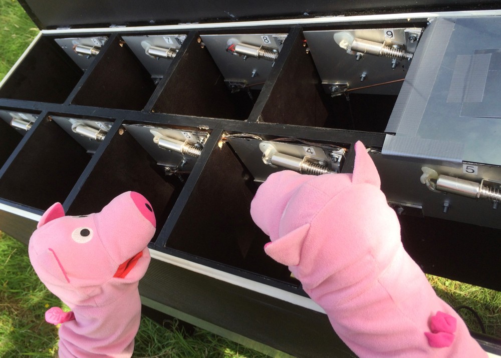 Die Schweine schlagen vor, Kartoffeln einzufüllen.