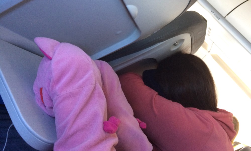 Die Schweine machen andere Flugreisende nach. 