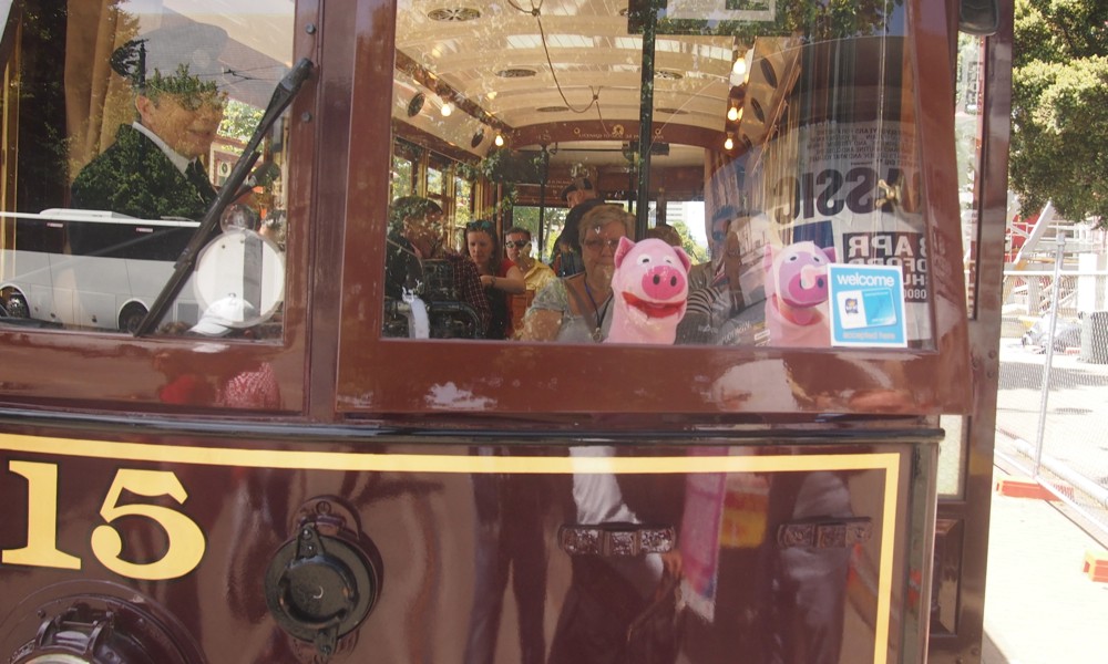 Mit der Linie 15 fahren die Schweine wieder nach Hause.