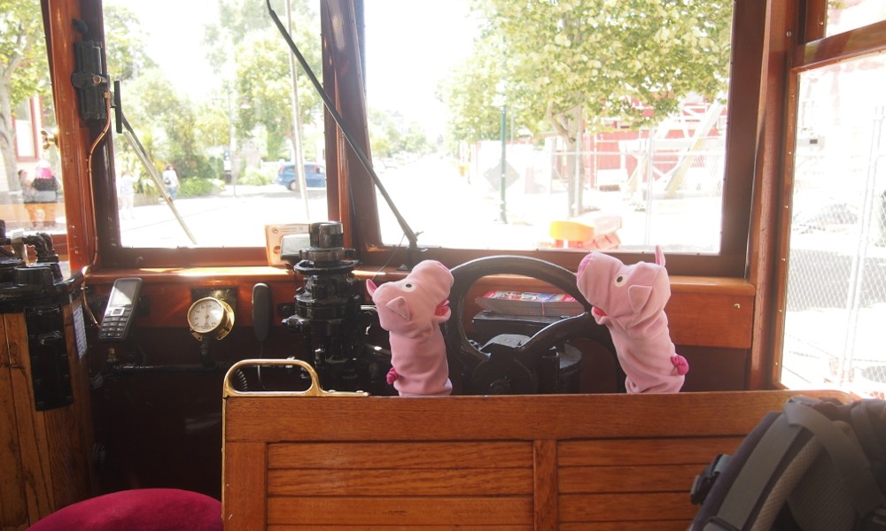 In der Straßenbahn in Christchurch: die Schweine helfen als Schaffner aus.