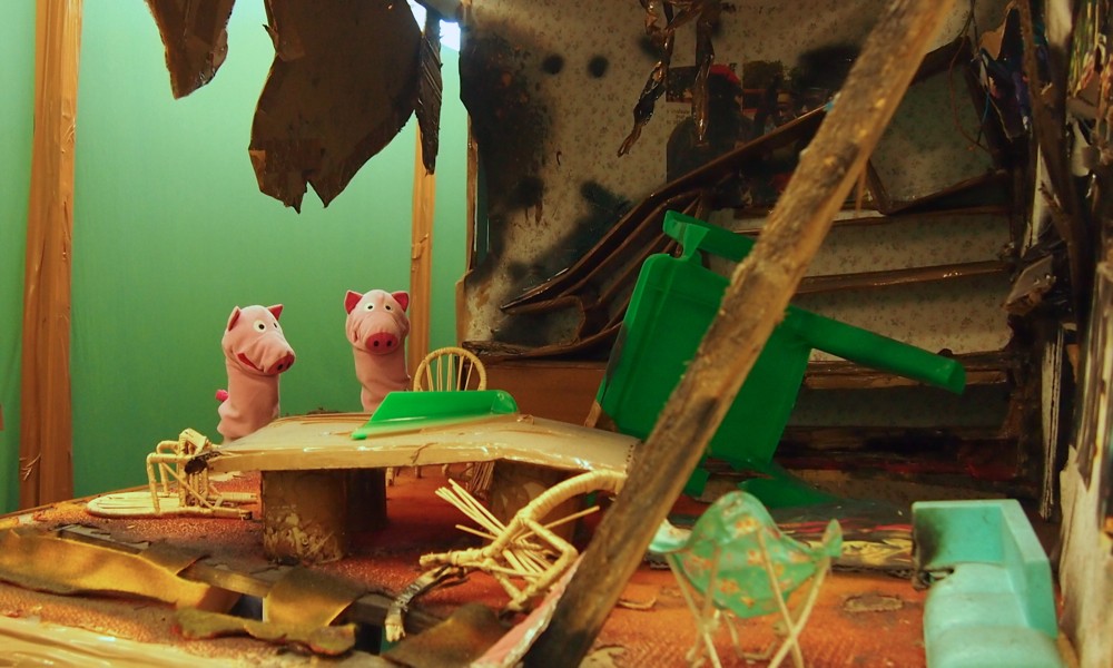 Plötzlich sind die Schweine in ein Krisengebiet geraten.