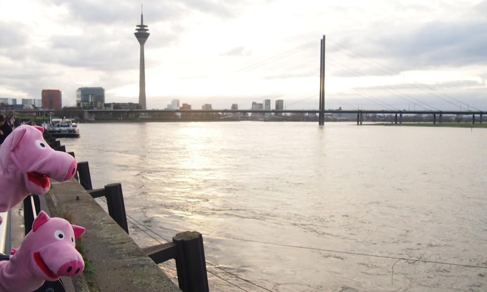 Ha, den Fluss haben die Schweine schon einmal gesehen!