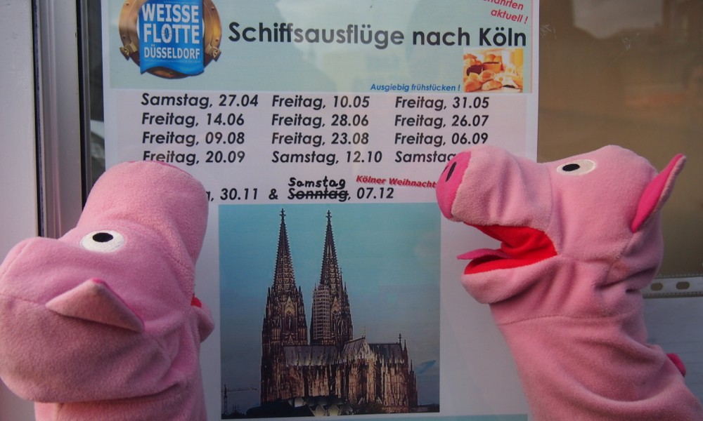 Die Schweine buchen den Schiffsausflug nach Köln, einfache Fahrt!