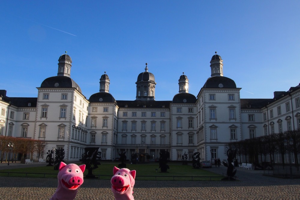 Die Schweine freuen sich über die Kunstinstallation.