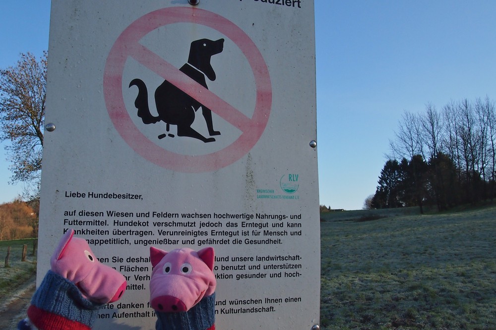 Das ist aber unappetitlich.