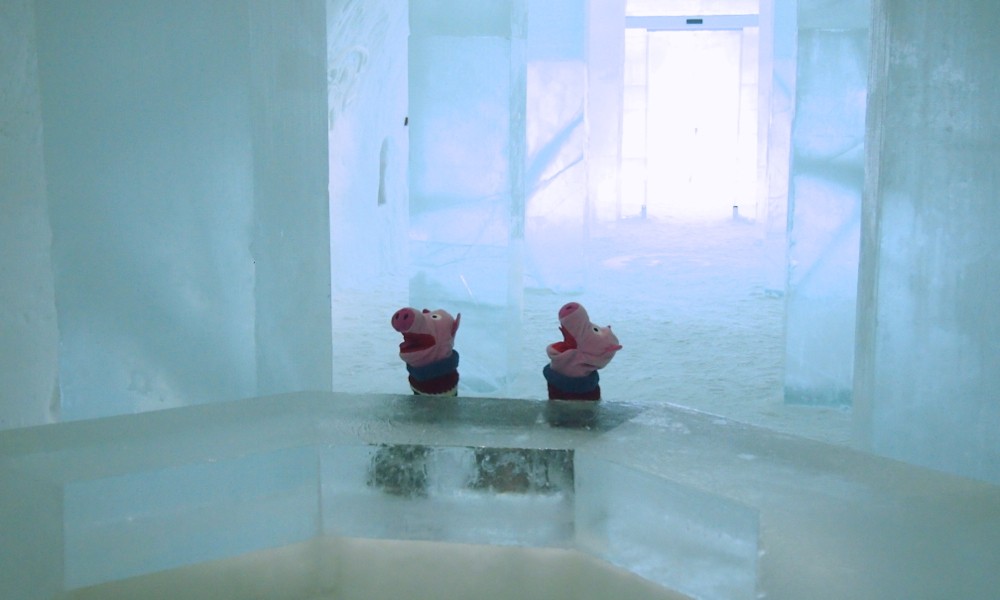 Die Schweine singen das Lied von der Eiskartoffel.