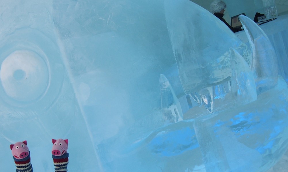 ... denn sie gehören dem kartoffelfressenden Eisungeheuer! Hoffentlich mag das keine kleinen Schweine.