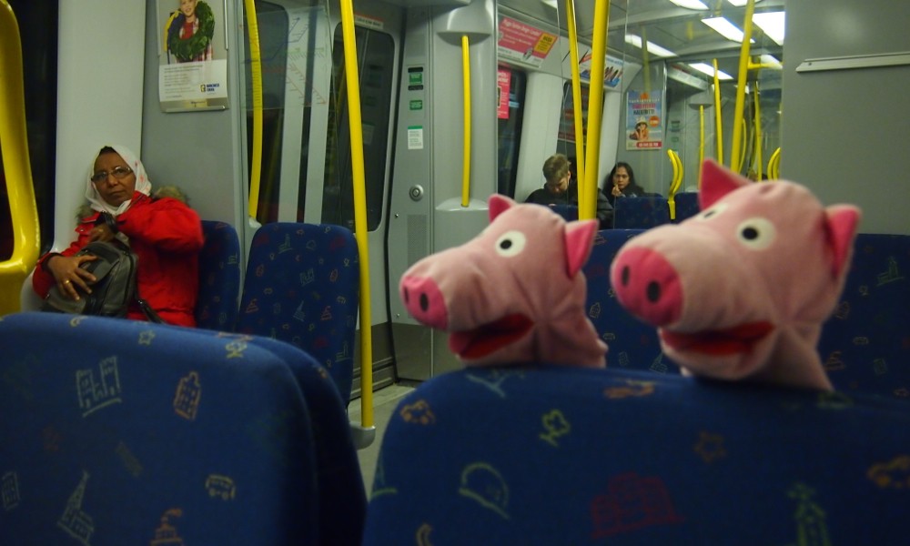 Auf dem Weg nach Hause waren die Schweine kurz in Stockholm, wo sie einen Ausflug mit der Tunnelbahn gemacht haben.