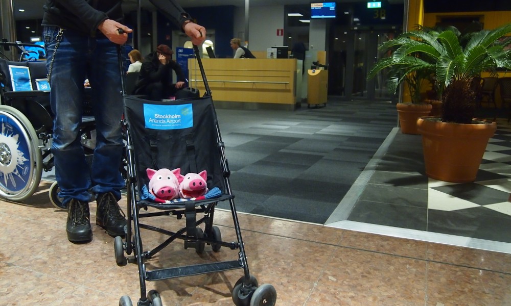 Und wieder auf dem schweinefreundlichen Flughafen Arlanda!