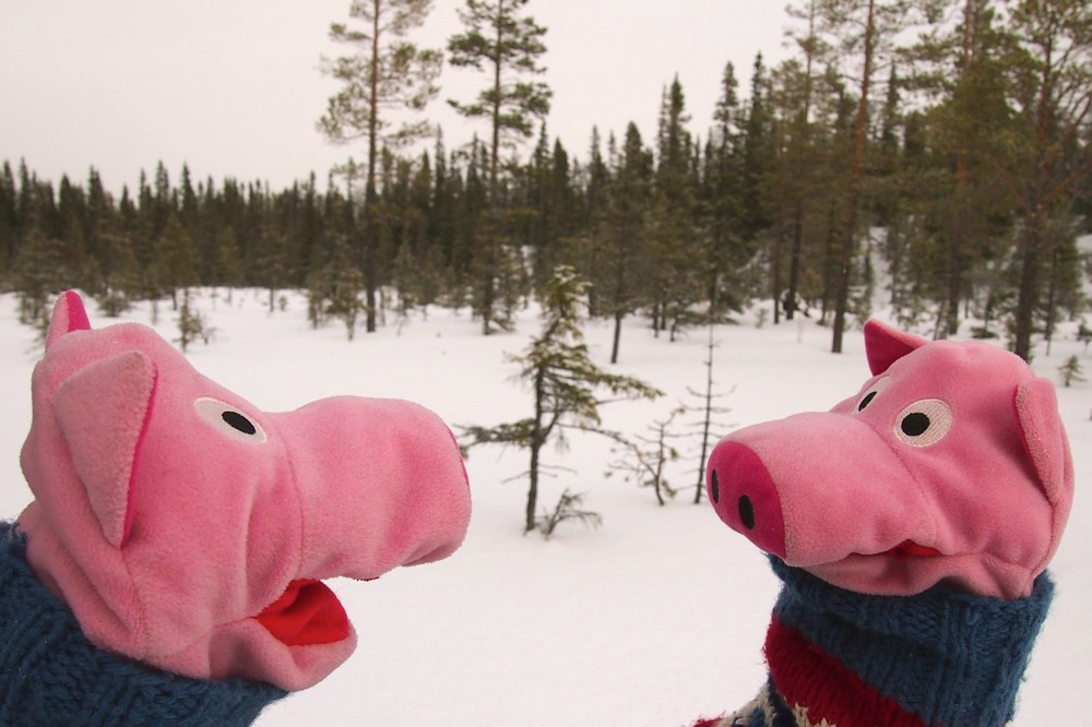 "Hast Du die Kartoffeln eingepackt?" - "Oh nein, den Proviant vergessen!"