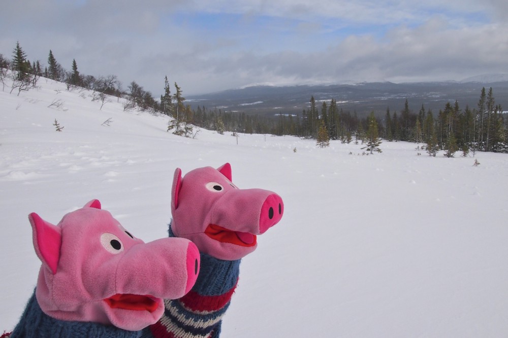 Dann schnell weiter, da hinten gibt's ein Café, und es ist öppet.