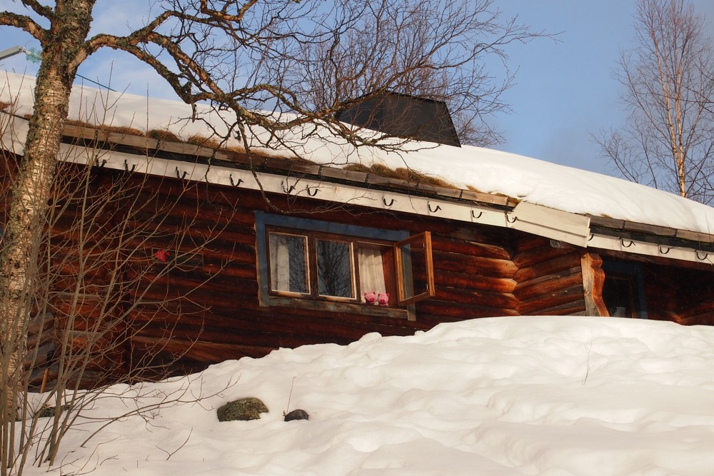 Wieder zu Hause! So schön kann ein Schweinestall sein.