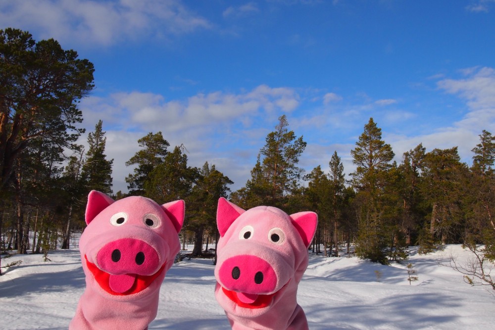Es war wohl ein Vielfraß! Na, viel essen können wir auch!