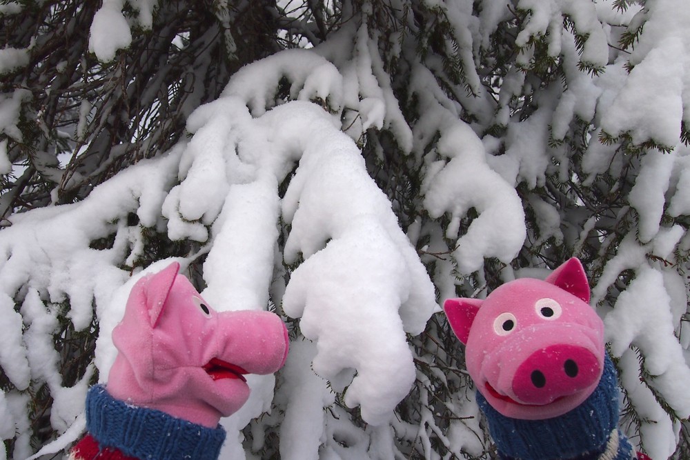 Heute hat es frisch geschneit! Dann mal hoch auf den Berg!