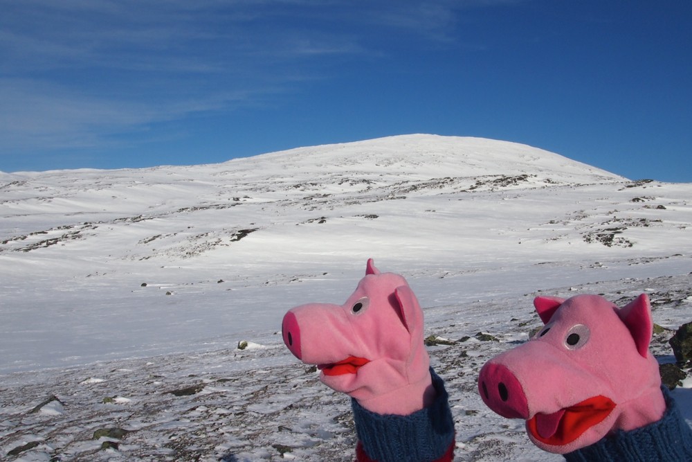 Am nächsten Tag auf dem Ottfjäll: Was ist denn da hinten zu sehen?