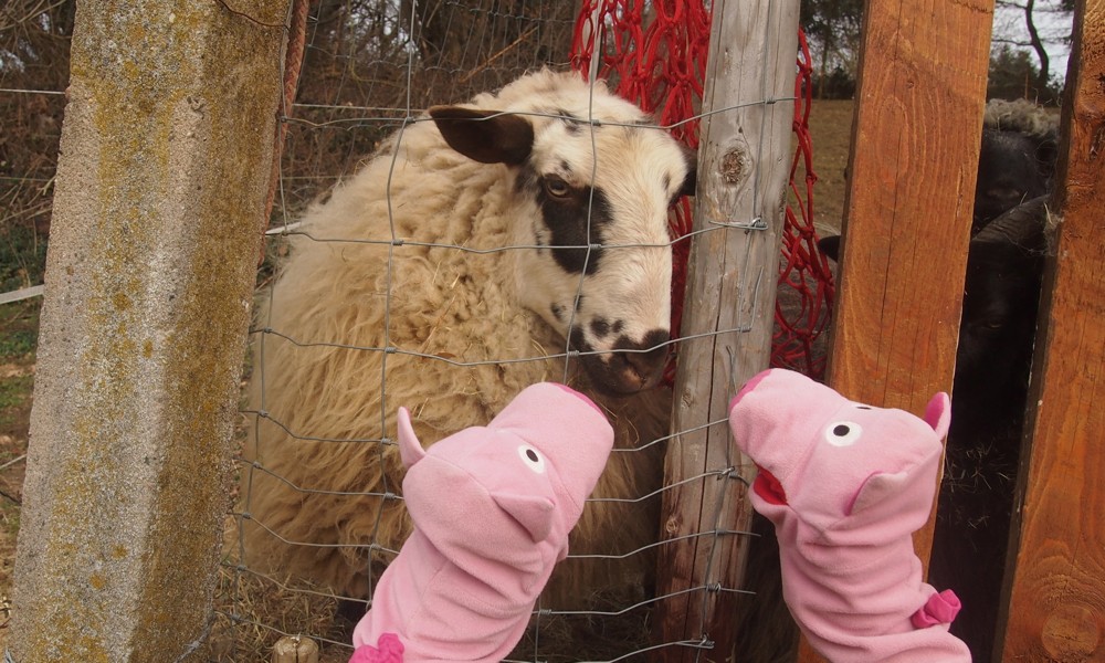 Die Bevölkerung am Rheinsteig ist wie immer freundlich.