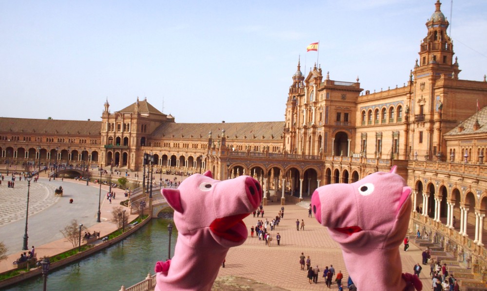 Die Schweine schauen sich etwas für die Gestaltung des Platzes vor dem Stall im Bergischen ab. 