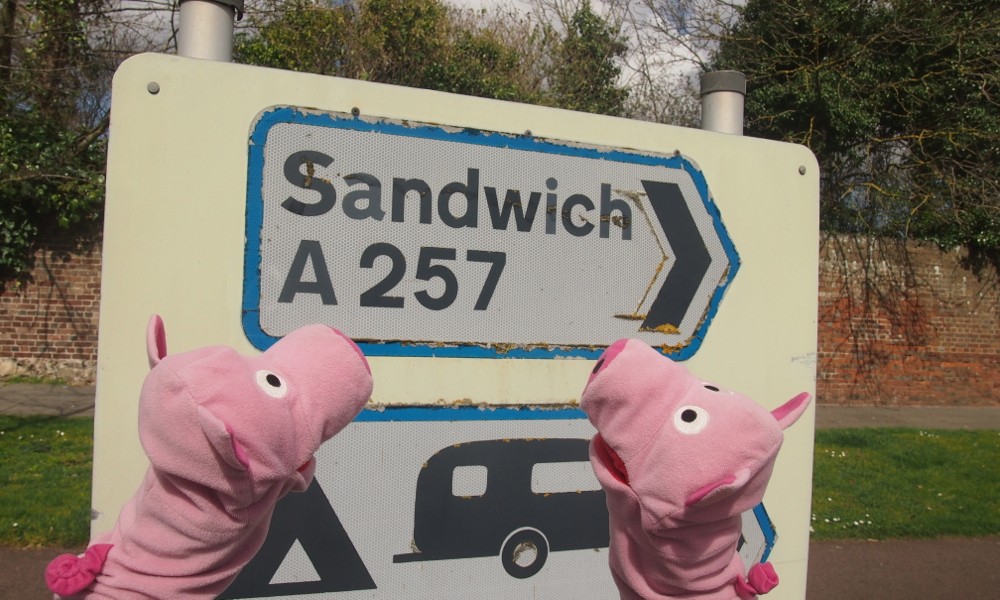 Die Schweine wundern sich, denn hier geht es nach Butterbrot.