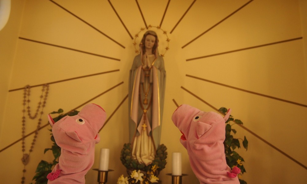 Die Schweine möchten beim Kartoffelschälen geholfen kriegen.