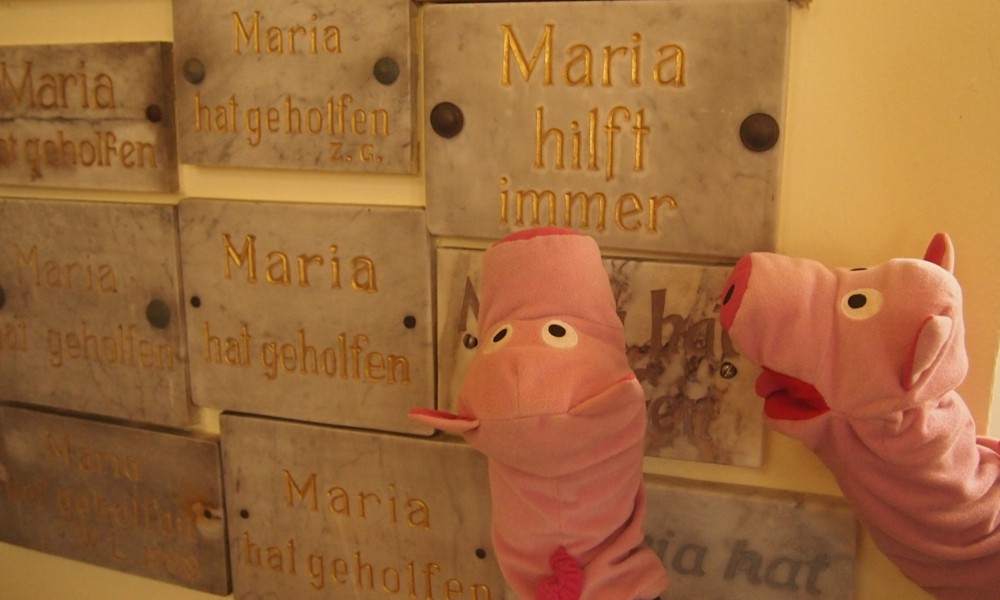 Das finden die Schweine sehr freundlich.