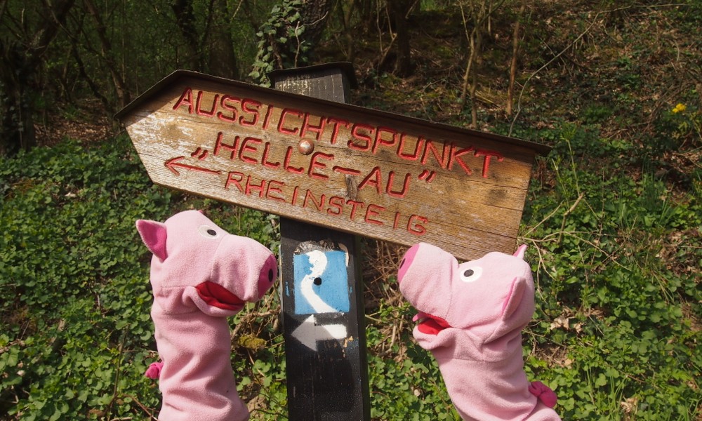 Die Schweine finden einen Druckfehler: Es muss Helle Sau heißen.