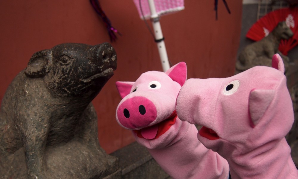 Freude herrscht, da man in China gerne Schweine hat.