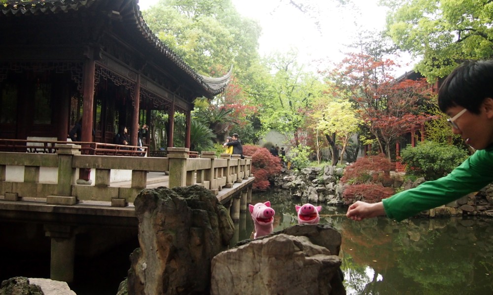 Freundlicherweise werden die Schweine mit einer Nudel gefüttert.