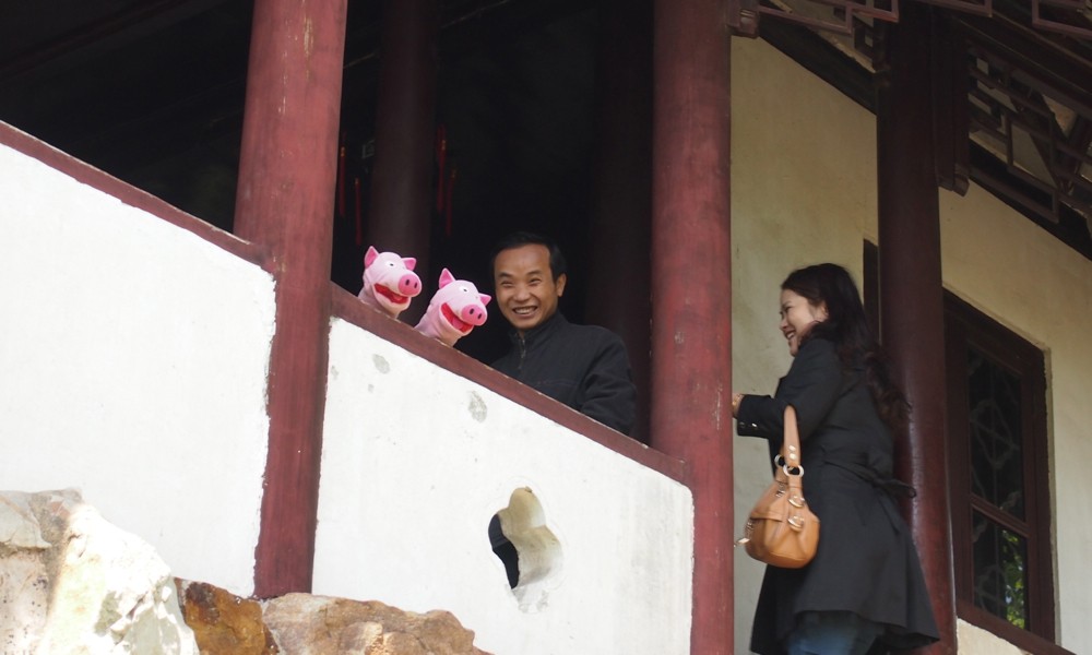 Die Schweine kommen ins Gespräch ...