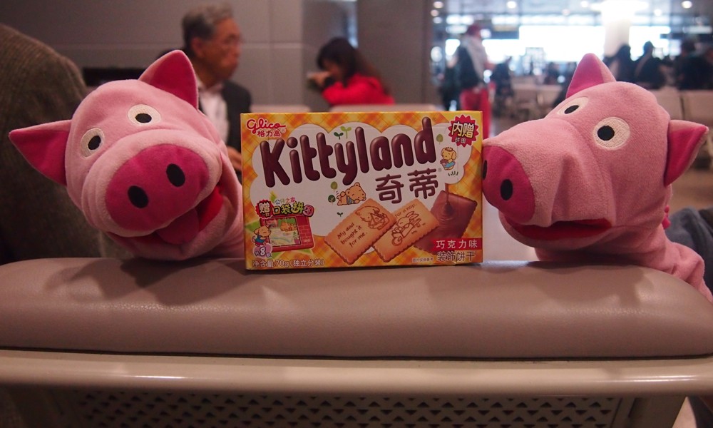Wieder auf dem Flughafen: mit Kittyland geht es in den Flieger nach Hong Kong!