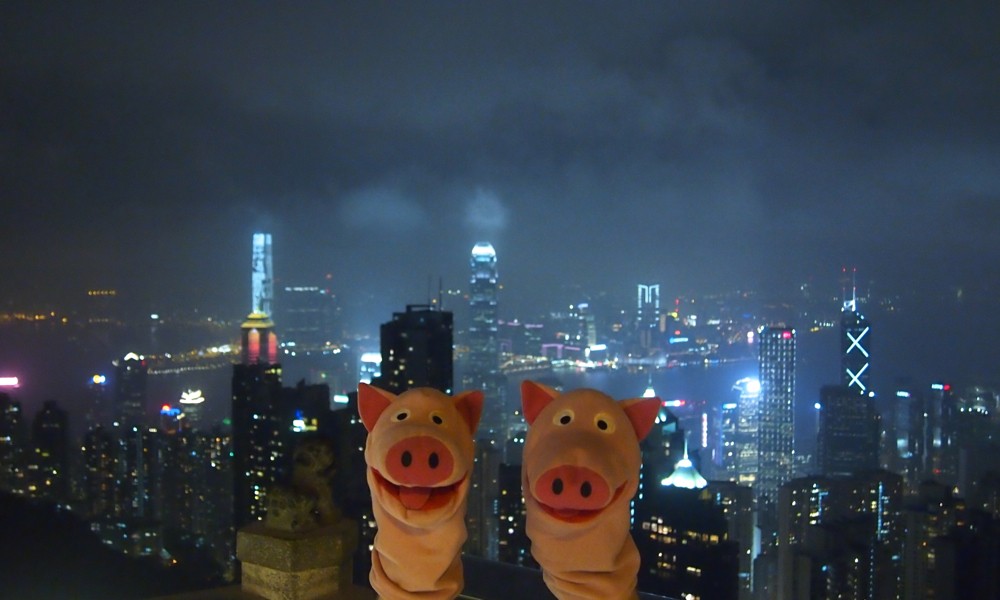 Na gut, noch einmal lächeln für die Internetseite! Gleich fliegen sie wieder heim!