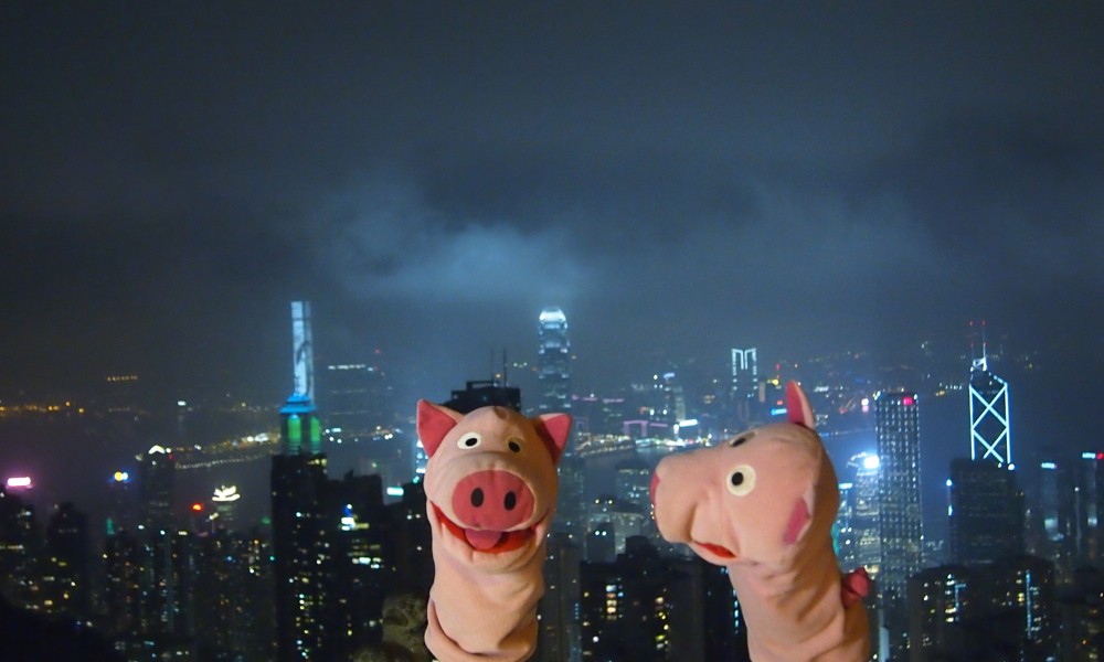 Abends auf dem Victoria Peak! Ein Schwein fragt sich, ob das Häuser oder Raumschiffe sind.