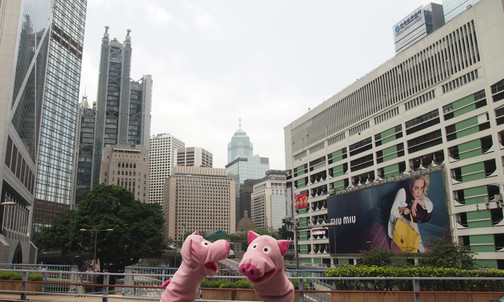 Immer dem Rüssel nach, dann kommen wir schon irgendwo hin!