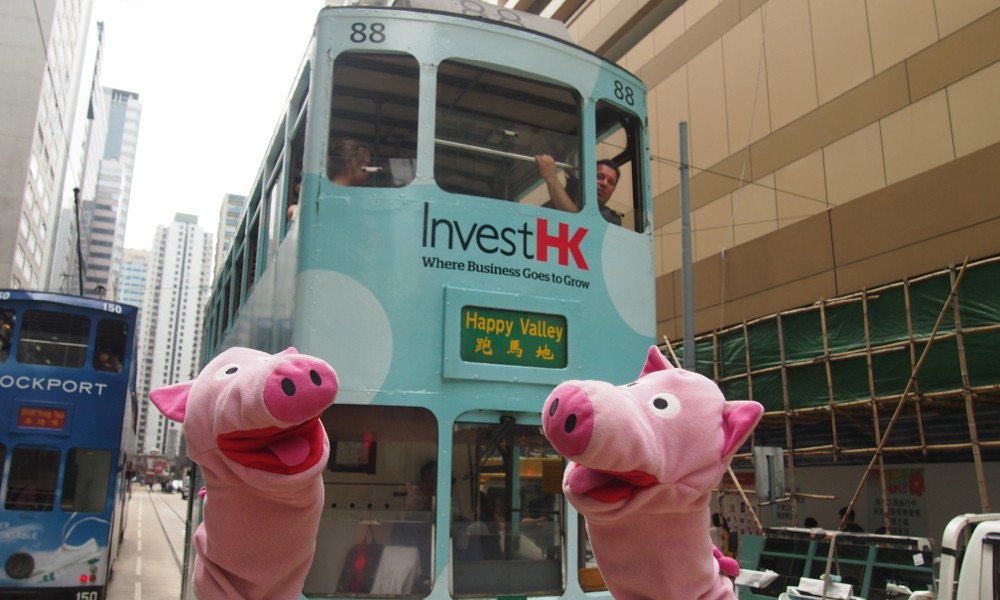 Toll! Doppelstöckige Straßenbahnen! Die Schweine fahren nach Happy Valley.