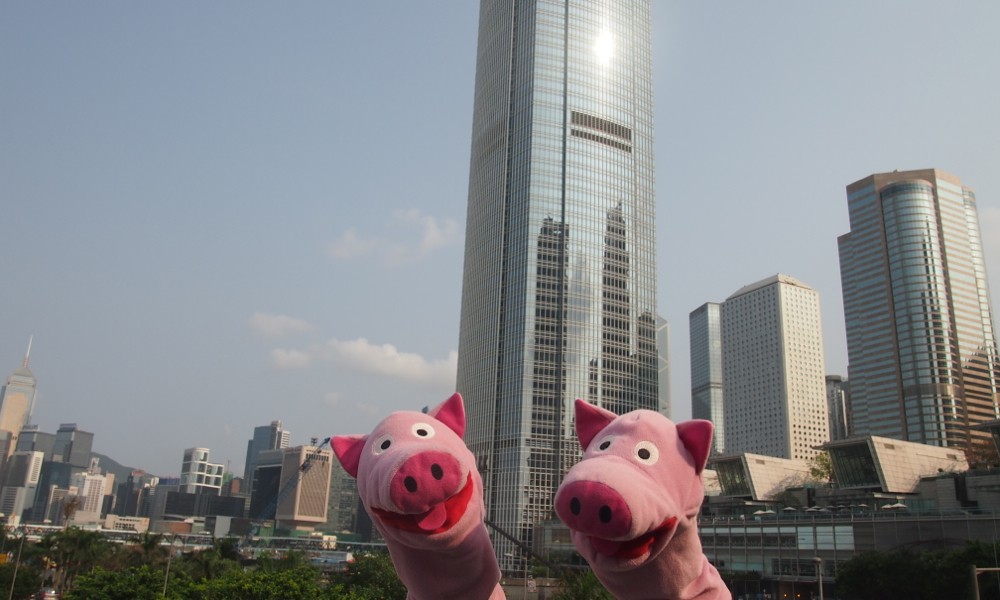 Die Schweine überlegen, ob sie eine Niederlassung für ihren Kartoffelhandel eröffnen. Scheint ne Marktlücke zu sein. Hier gibt es nämlich immer nur Reis.