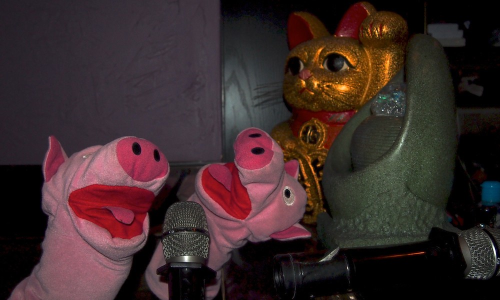 Abends nehmen die Schweine an einem Karaoke-Wettbewerb teil.