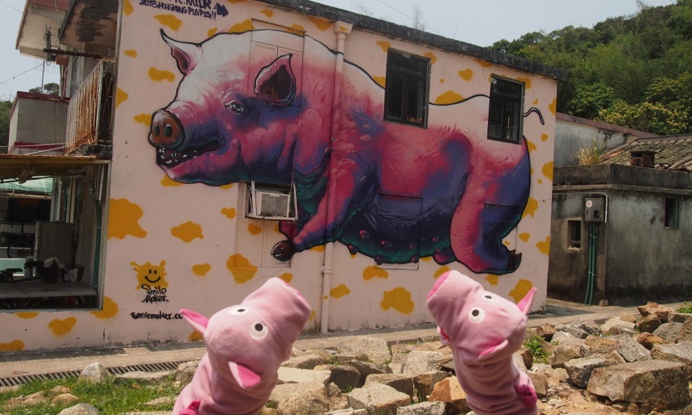 Hier staunen die Schweine, denn sie finden das weltweit größte Schweinegraffiti.