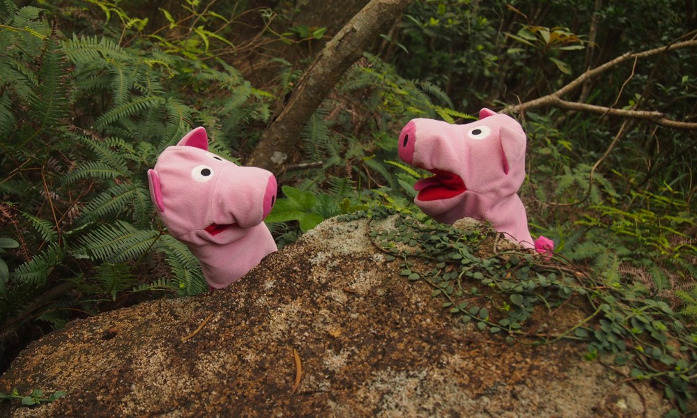 Ein Schwein ist ganz aufgeregt, denn im Gebüsch hat's geknurrt!