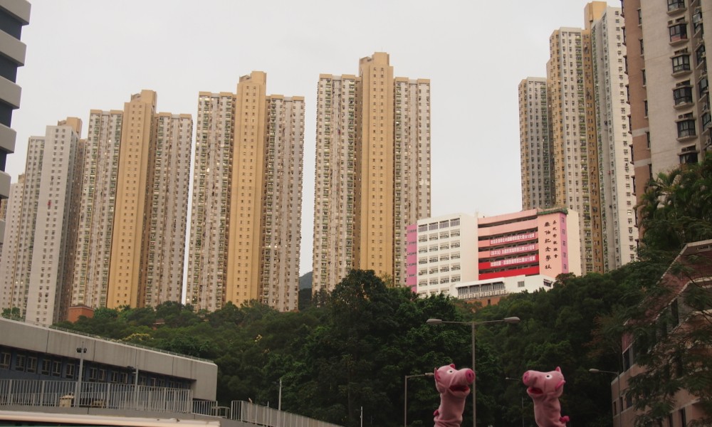 Da sind sie schon wieder in der Stadt (ohne Tiger), man sieht sie kaum zwischen den großen Häusern.