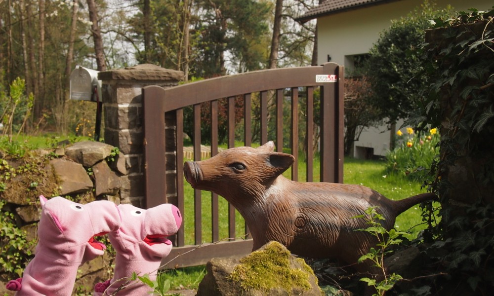 Freundliche Menschen haben Schweine im Garten.