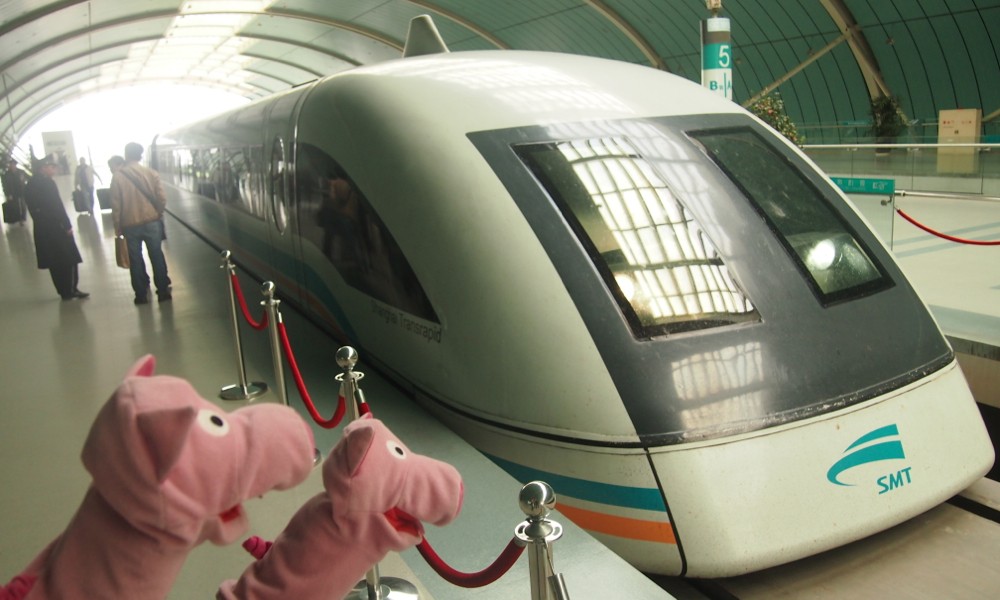 In die Stadt geht's mit dem Transrapid - die Schweine finden das total 80er.