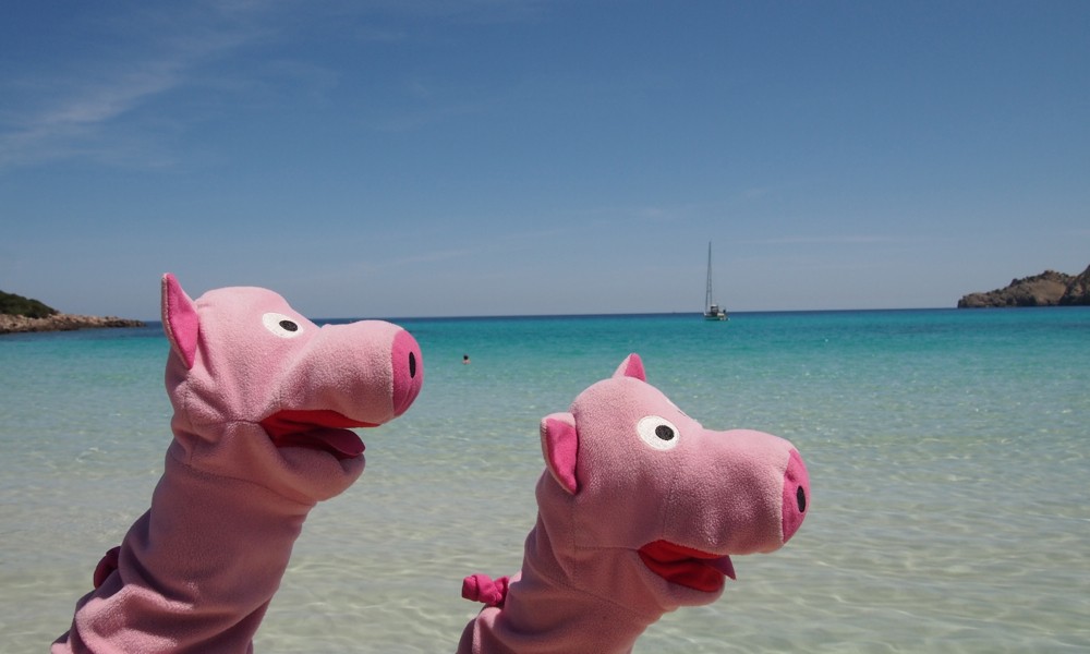 Von dort ging es im Schweinsgalopp auf den nächsten Hügel, mit Aussicht auf die ...