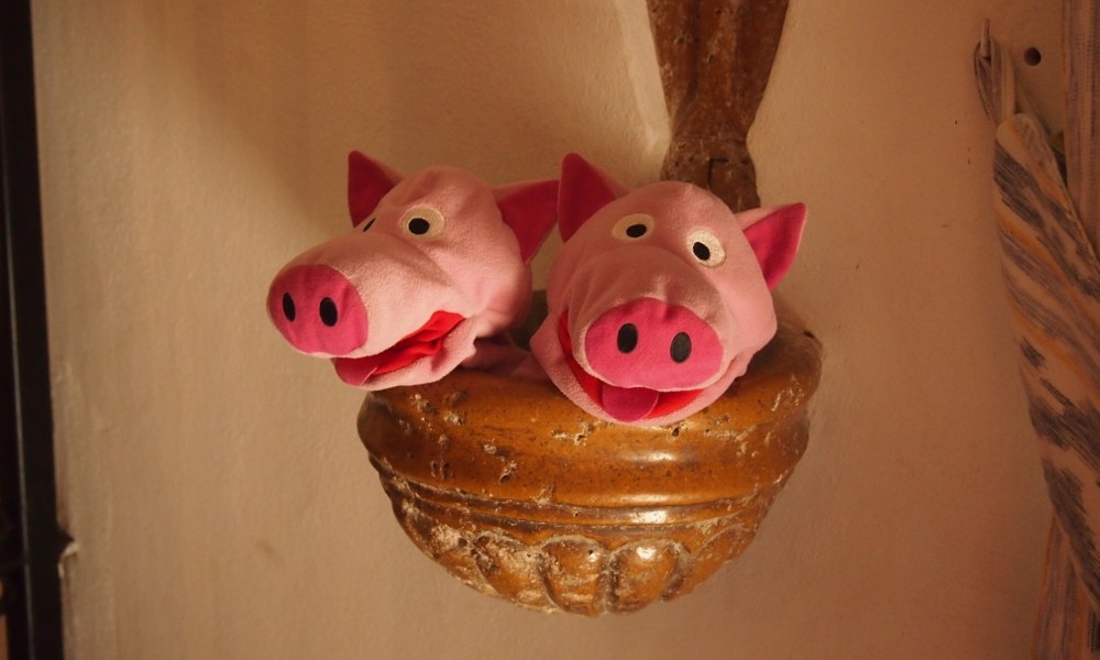 ... wegen der großen Hitze extra ein Badebecken für die Schweine gerichtet wurde. 