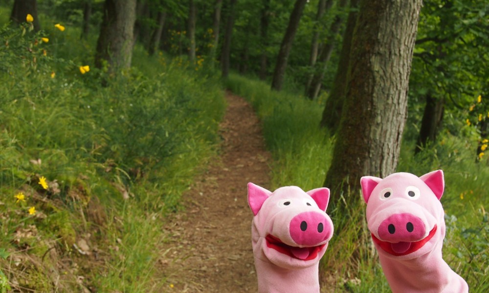 Auf dem Schweinewanderweg: sieht gut aus, der Weg ...