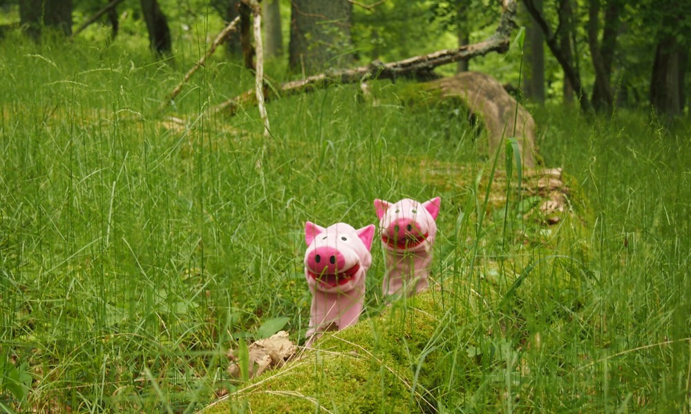 Über Stock und über Stein, wandern Schweine, das ist fein!